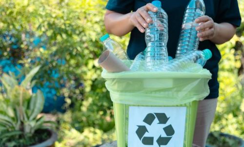 Create a Vertical Garden from Reused Soda Bottles