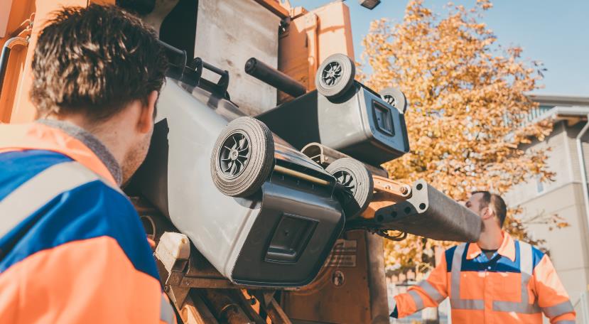 rubbish removal lewisham - Professional Services