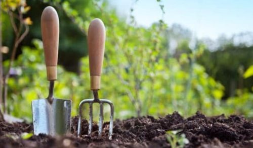 Tips for clearing garden wastes 