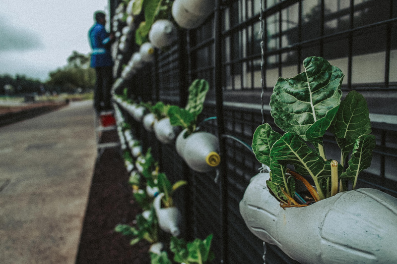 Plastic Waste Recycling Methods